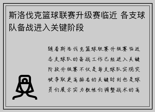 斯洛伐克篮球联赛升级赛临近 各支球队备战进入关键阶段