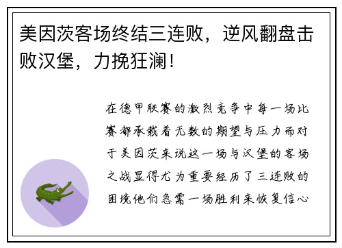 美因茨客场终结三连败，逆风翻盘击败汉堡，力挽狂澜！