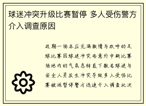 球迷冲突升级比赛暂停 多人受伤警方介入调查原因